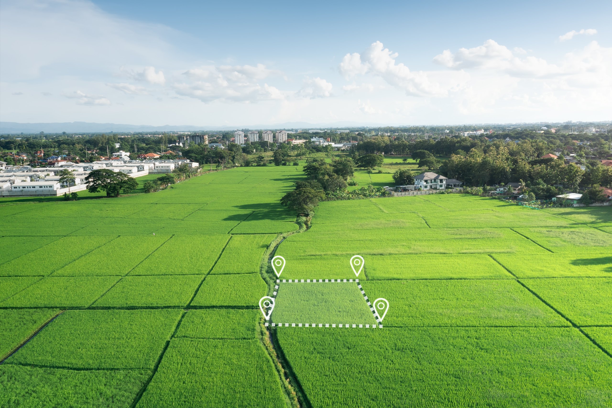 Aerial view of a land plot divided into parcels