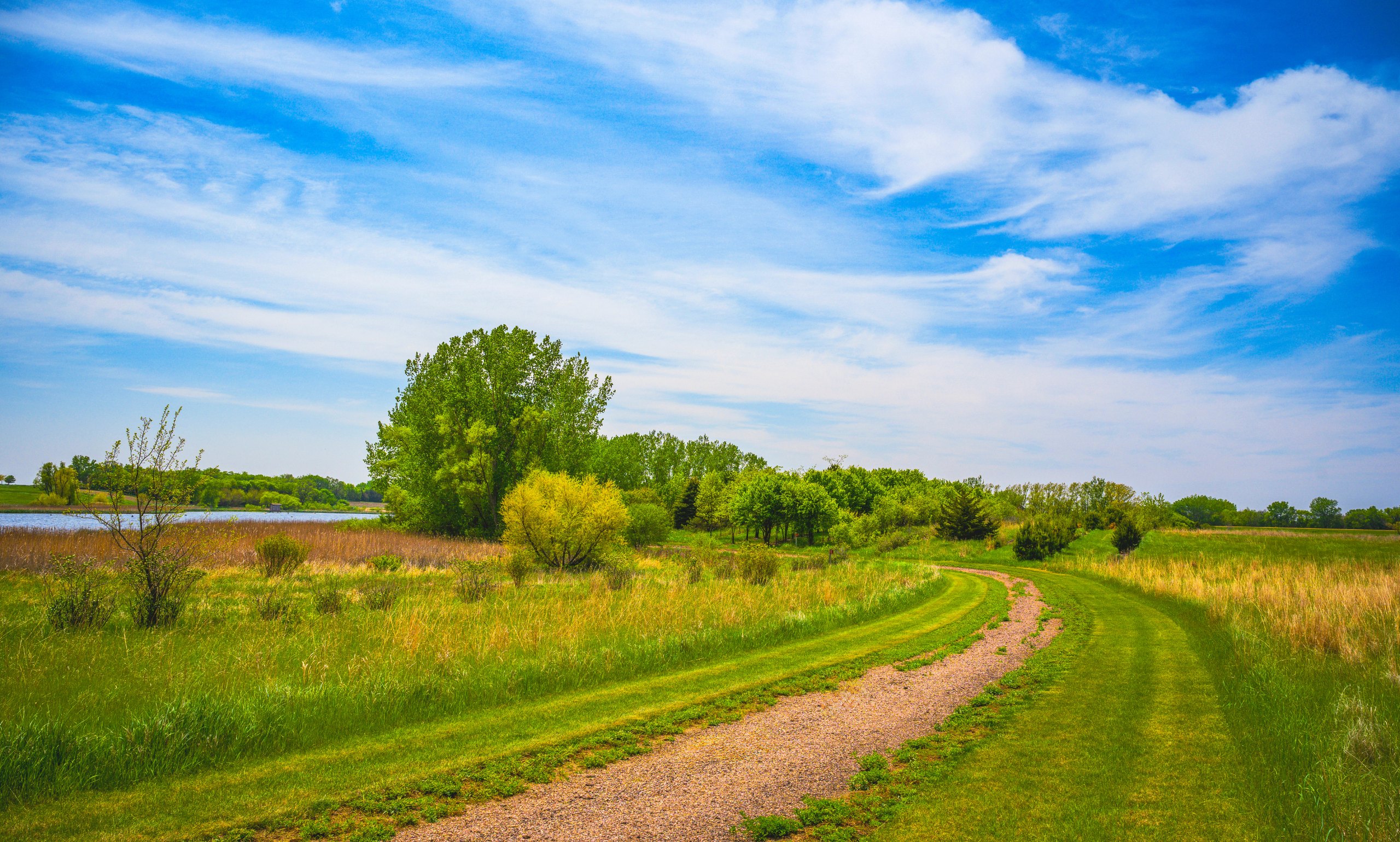 A dirt road across midwestern farmland under an open sky